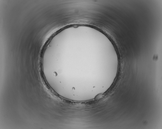 X0000112371085200909101316