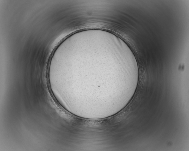 X0000112371086200909101316