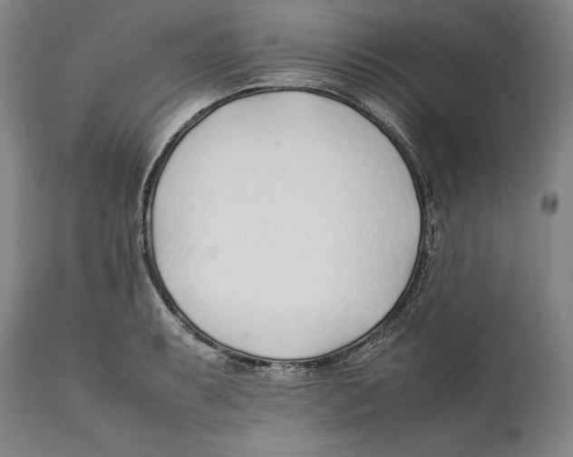 X0000112371087200909101316
