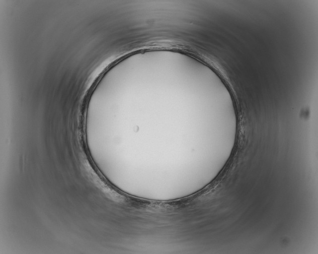 X0000112371091200909101315