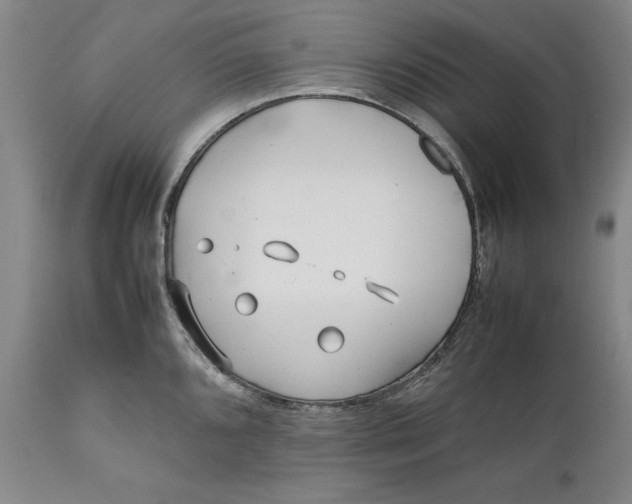 X0000112371096200909101315