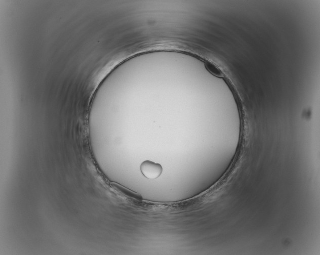 X0000112371097200909101315