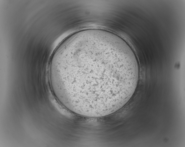 X0000112371098200909101315