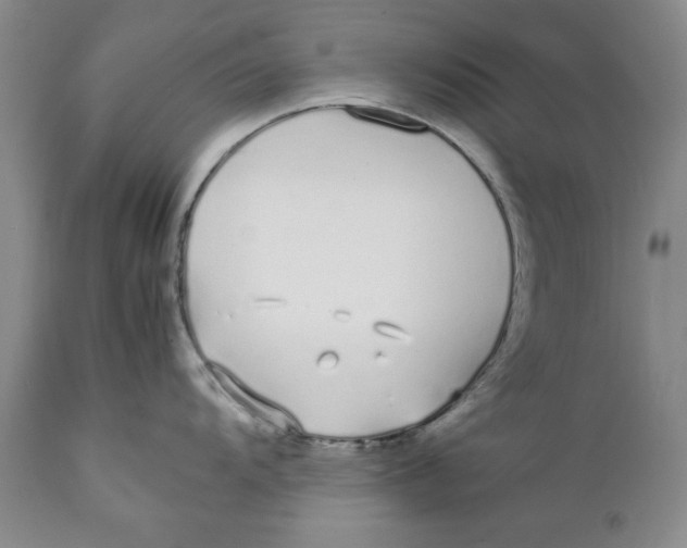 X0000112371104200909101315