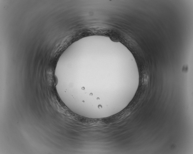 X0000112371108200909101314