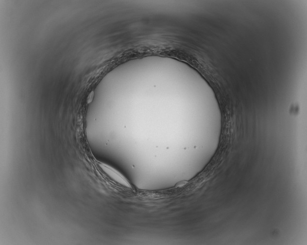 X0000112371109200909101315
