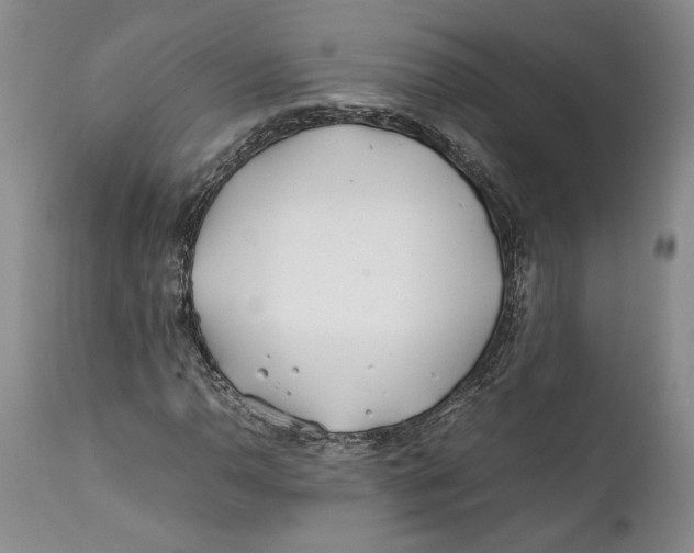 X0000112371110200909101315