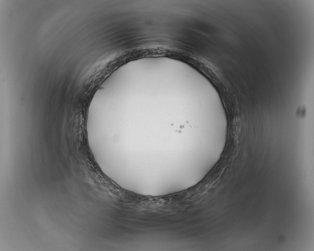 X0000112371111200909101315