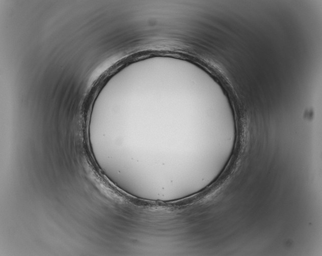 X0000112371114200909101315
