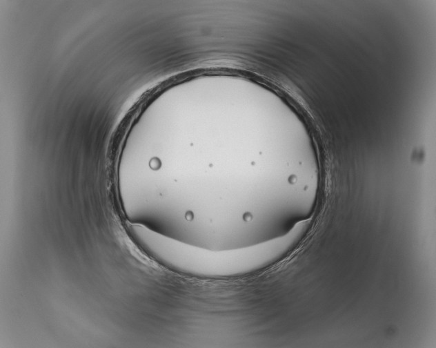 X0000112371116200909101315