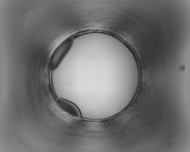 X0000112371120200909101315
