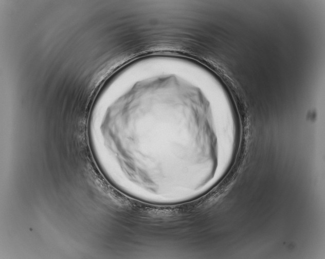 X0000112371121200909101315