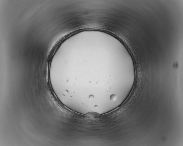 X0000112371123200909101315