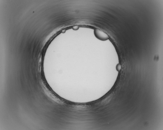 X0000112371126200909101315