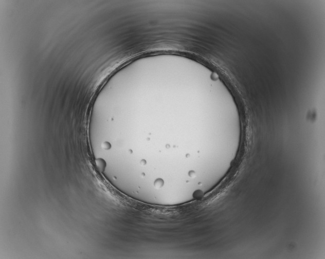 X0000112371129200909101315