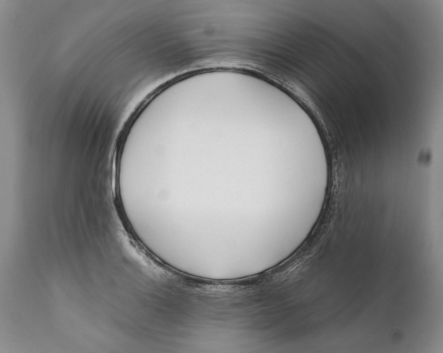 X0000112371132200909101315