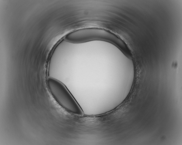 X0000112371134200909101315