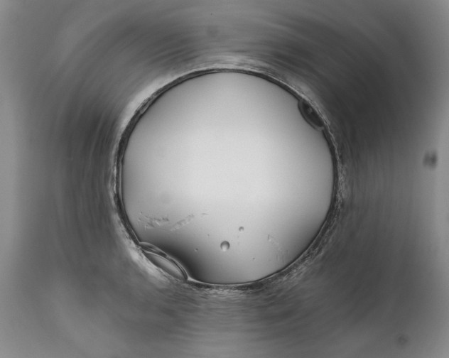 X0000112371136200909101315