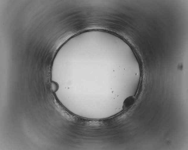 X0000112371137200909101315