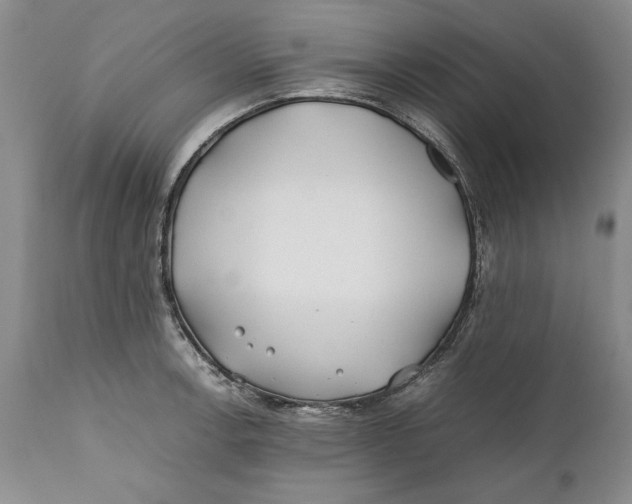 X0000112371138200909101315