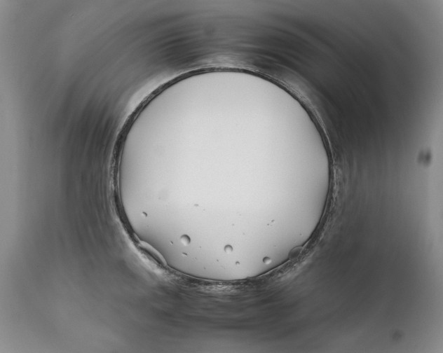 X0000112371141200909101315