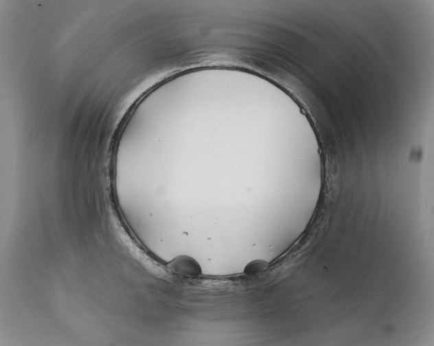 X0000112371142200909101315
