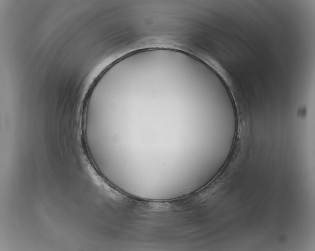 X0000112371144200909101315