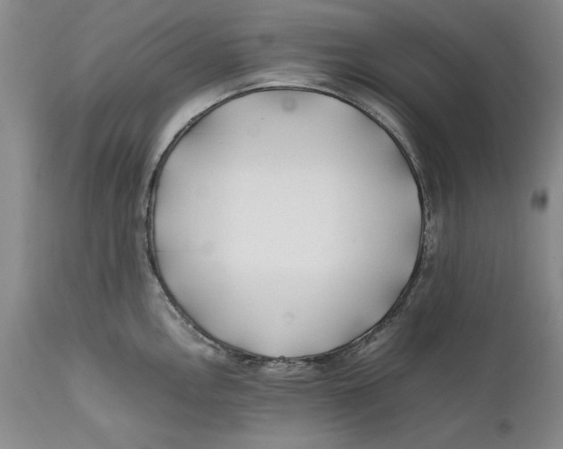 X0000112371146200909101315