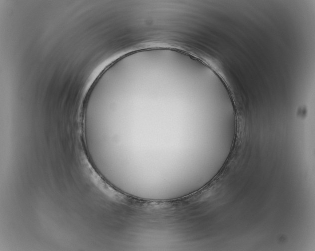 X0000112371148200909101315