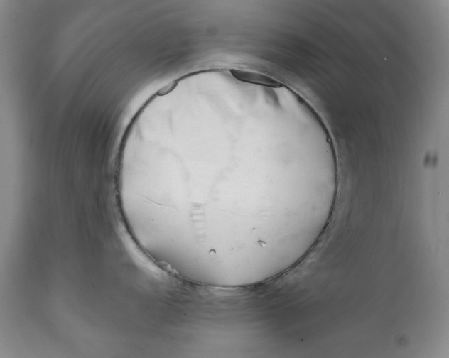 X0000112371152200909101315
