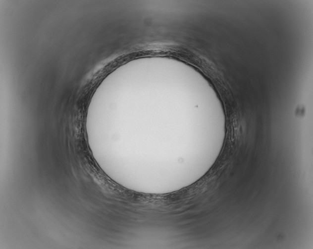 X0000112371158200909101314
