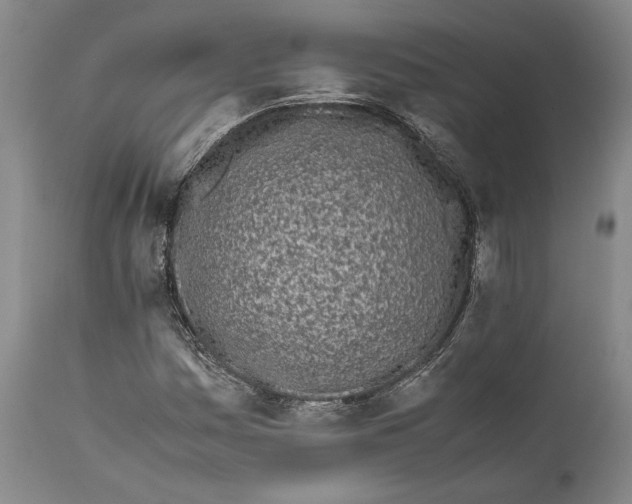 X0000112371161200909101314