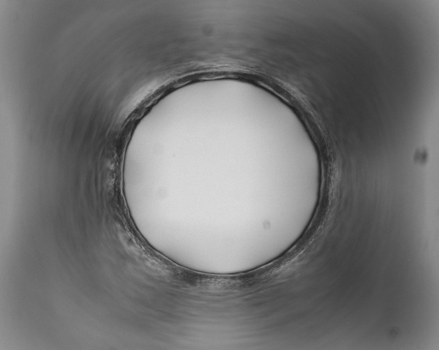 X0000112371163200909101314