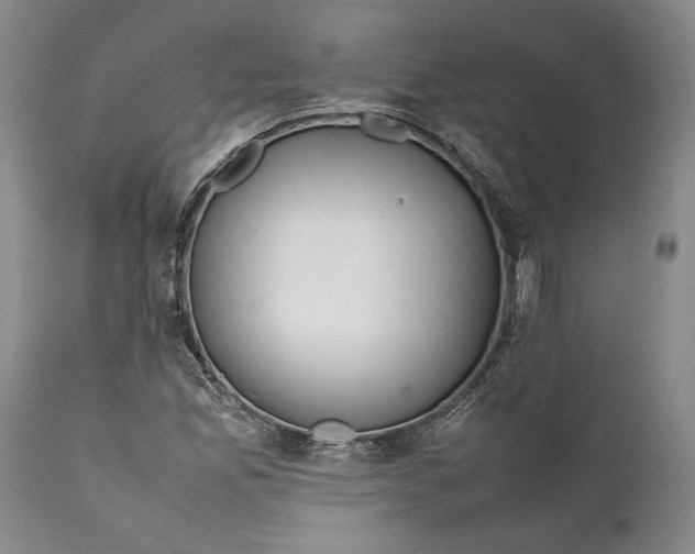 X0000112371165200909101314