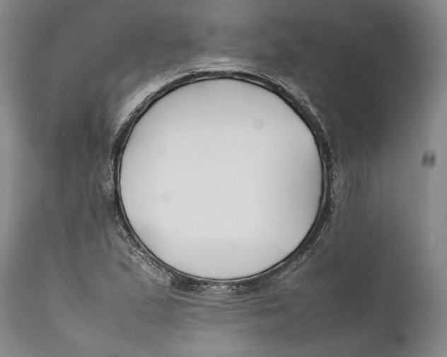 X0000112371167200909101314
