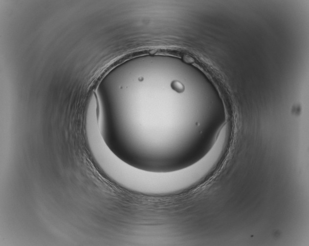 X0000112371169200909101314