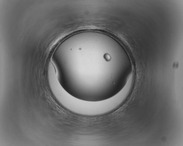 X0000112371173200909101314