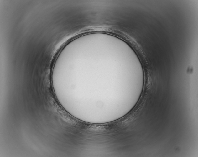 X0000112371174200909101314