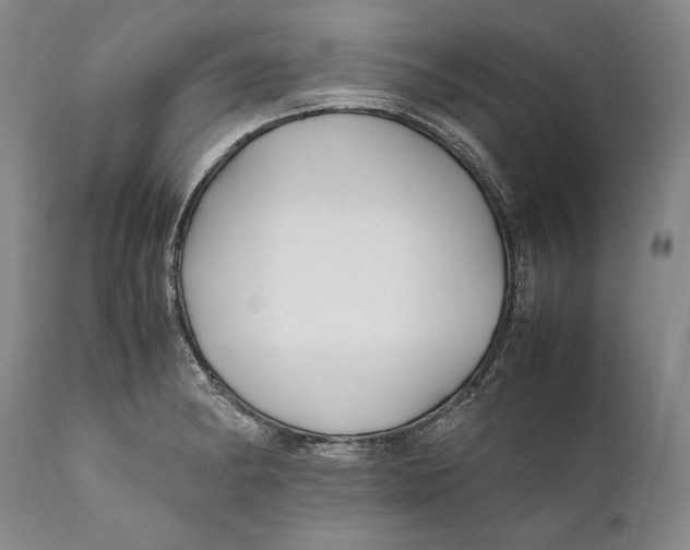 X0000112371182200909101314