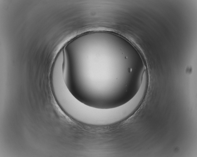X0000112371189200909101314