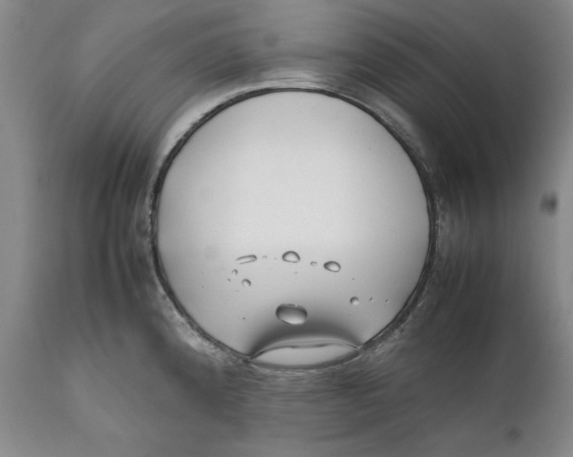 X0000112371192200909101314