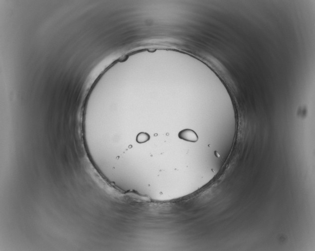 X0000112371196200909101314