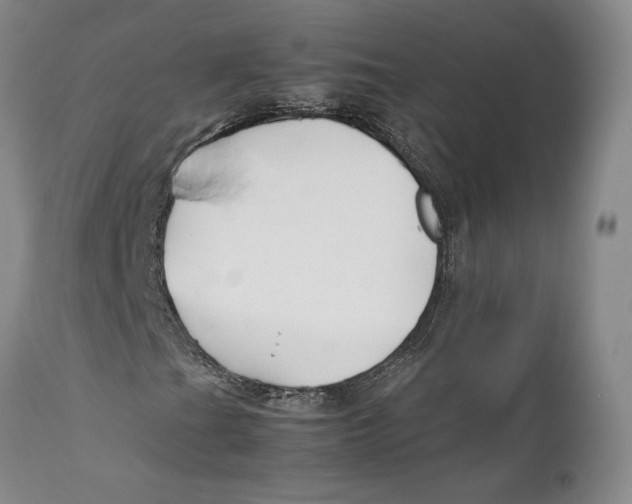 X0000112371201200909101313
