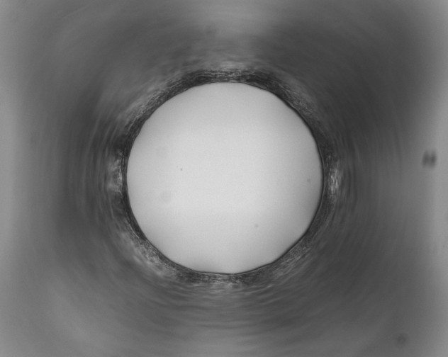 X0000112371204200909101313