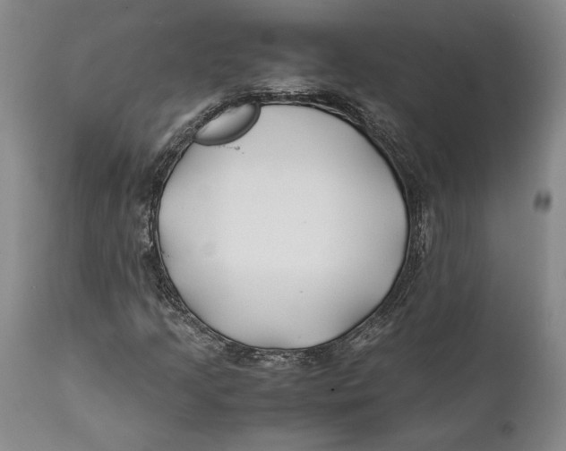 X0000112371205200909101313