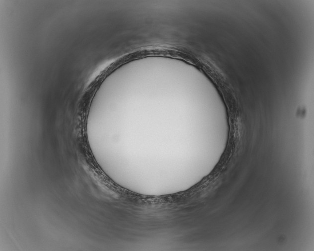 X0000112371208200909101313