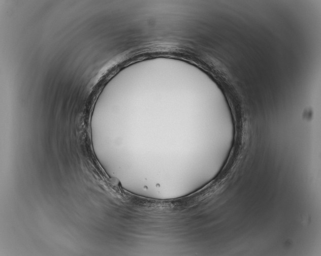 X0000112371210200909101313