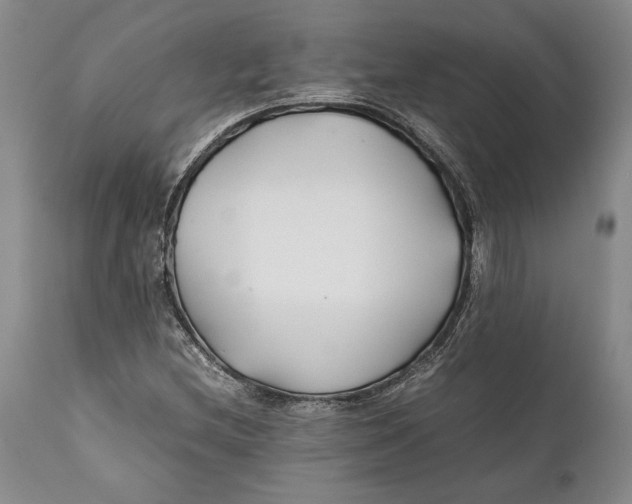 X0000112371212200909101313