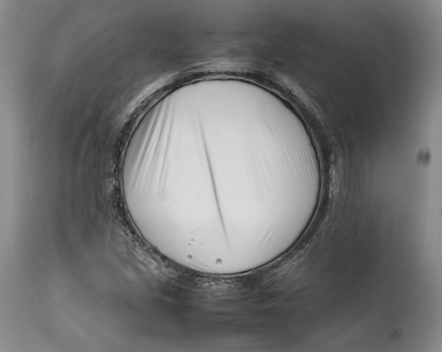 X0000112371213200909101313