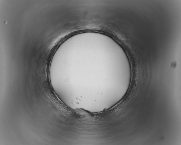 X0000112371214200909101313
